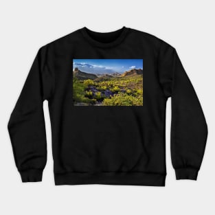 Arizona's Desert Landscape Crewneck Sweatshirt